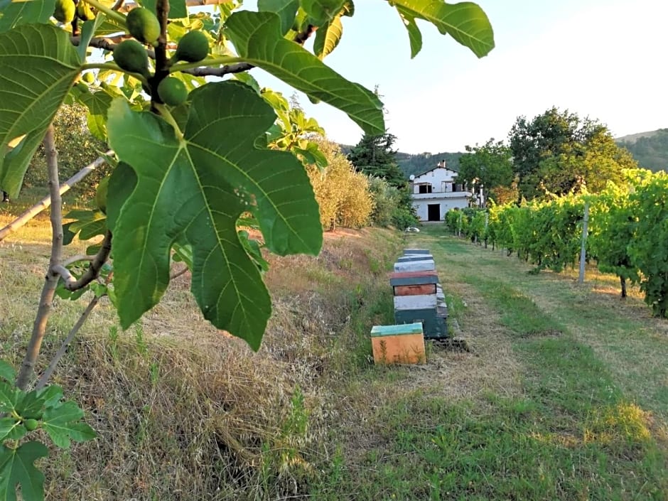 Naturaliterre BnB - Microfattoria