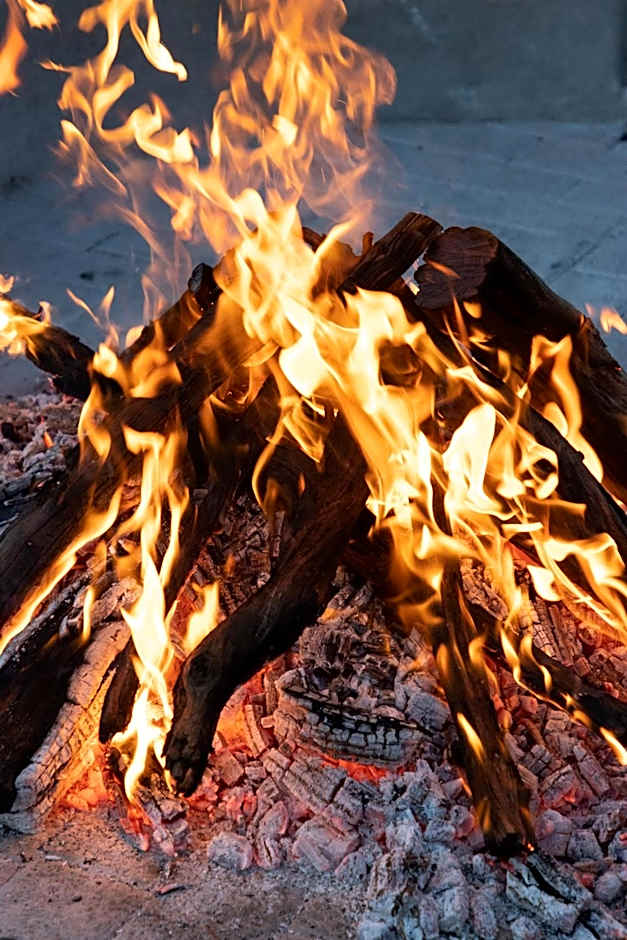 Die Boskamp Self-Catering Bush Retreat