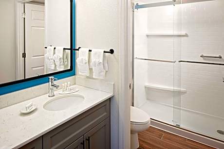 1 Bedroom Queen Suite, 1 Bedroom Suite, Queen, Non-Private Sofa Bed
