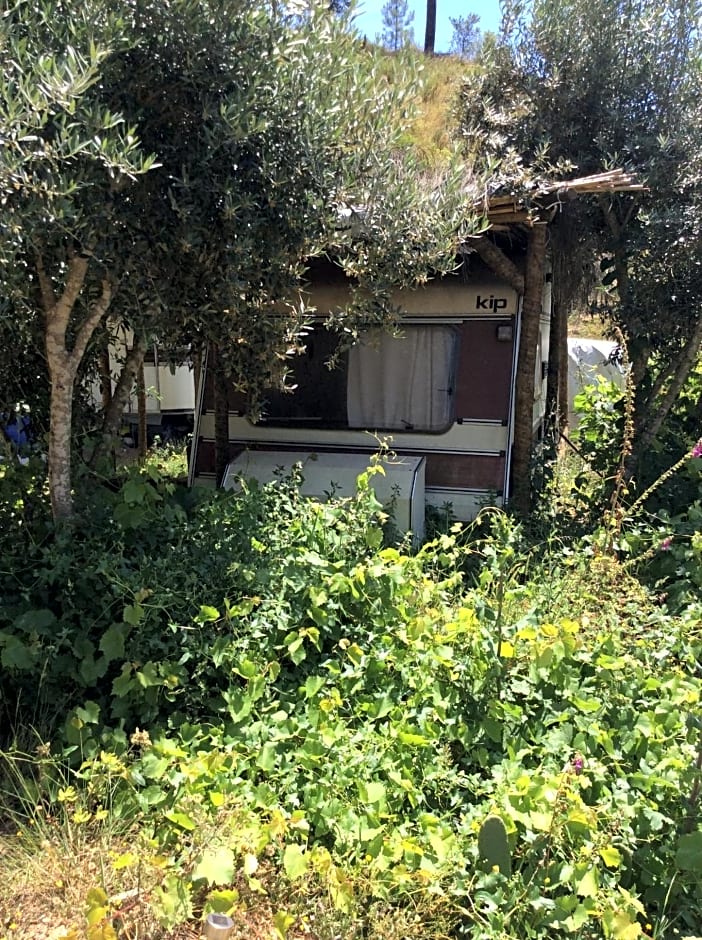 Guest Room Agro-turismo Quinta da Fonte Bed&Breakfast