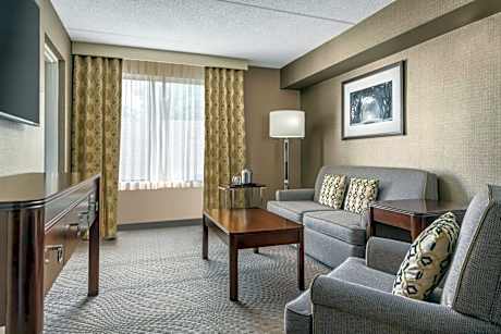 Junior Suite with 1 King bed and Sofa bed