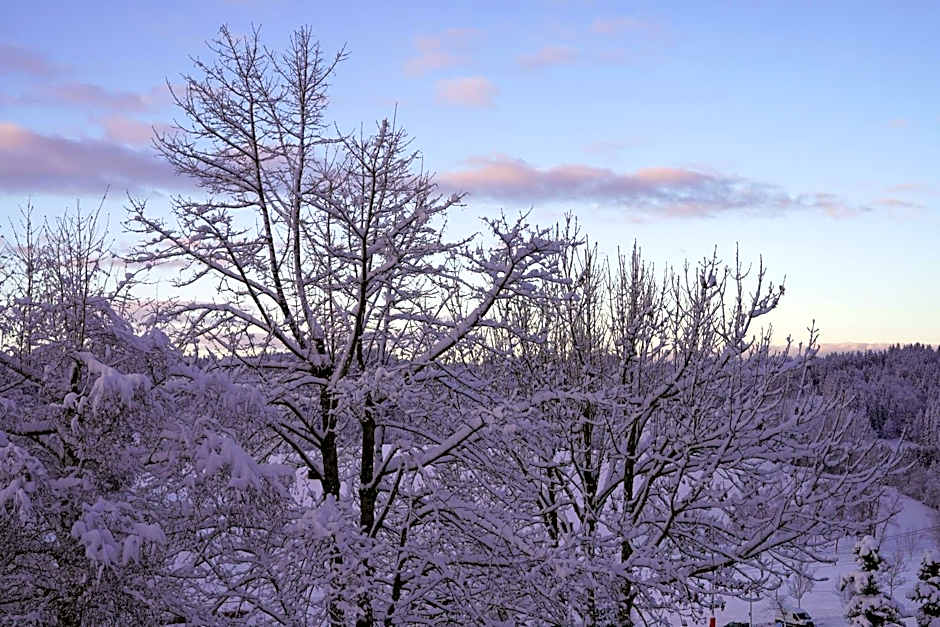 Ferienwohnung Ausblick