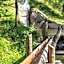 Alpinchalet Ortler