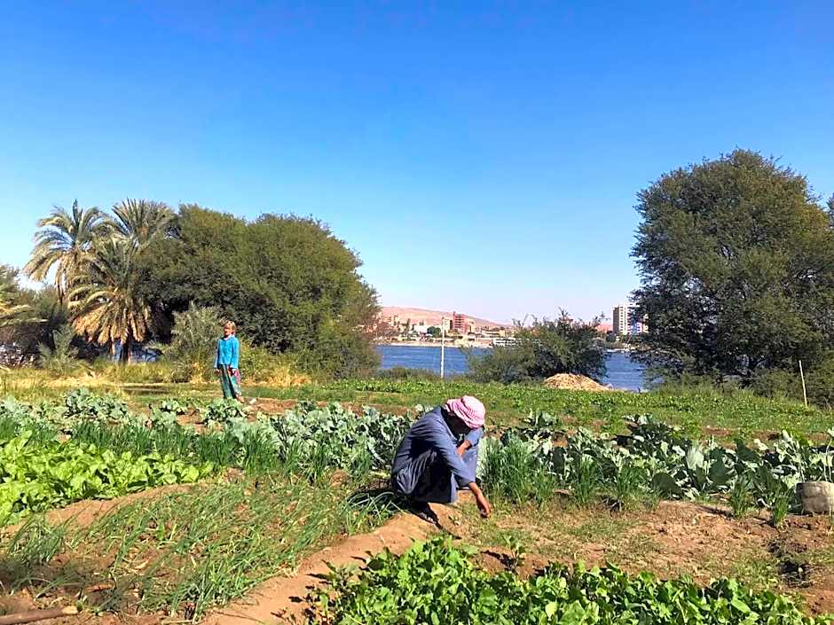 Salatoos Mango Garden and Guesthouse