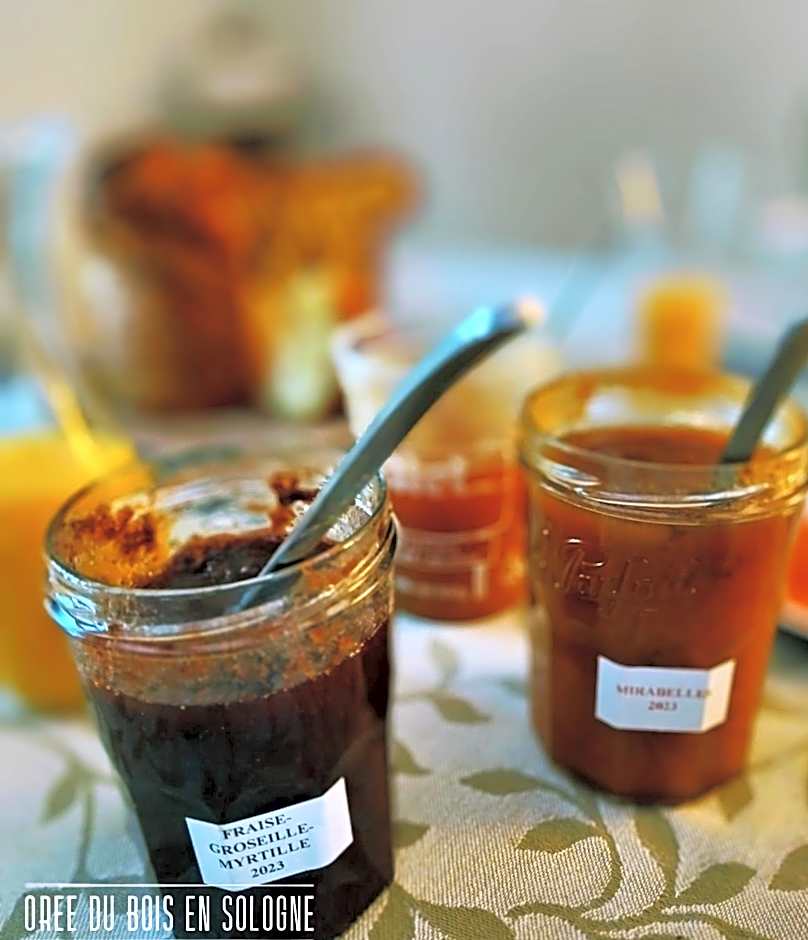 Chambres entre Romorantin-Chambord-Zoo de Beauval - Orée du Bois en Sologne