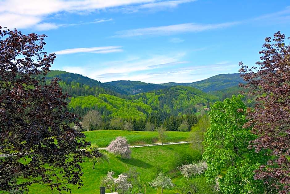 Genusshotel Hirschen - Erholung im Grünen (Südschwarzwald)
