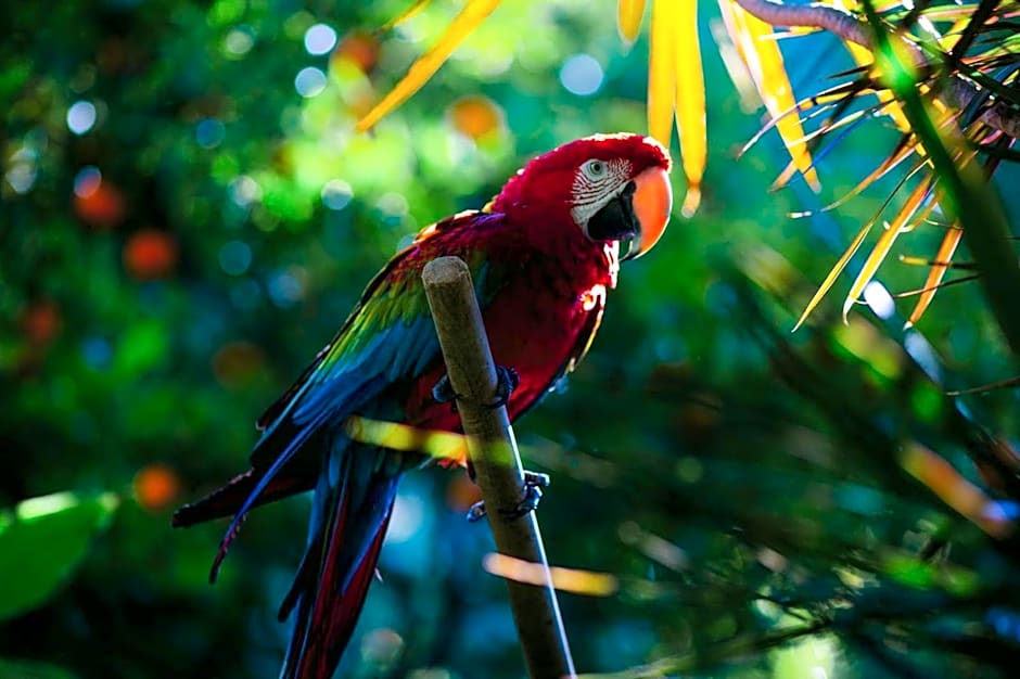 Hotel Karia Princess