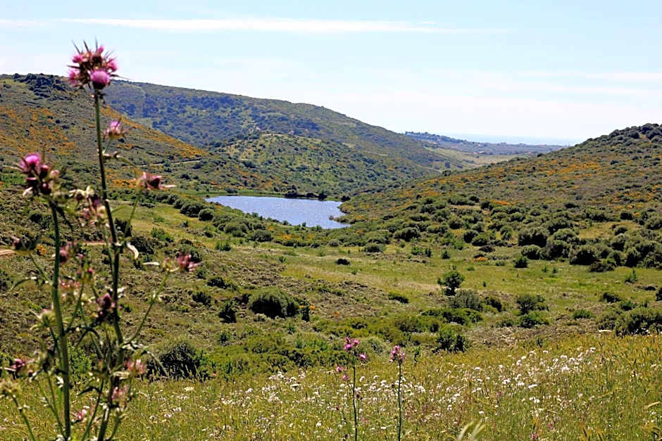 Residence Hotel Monte Ricciu