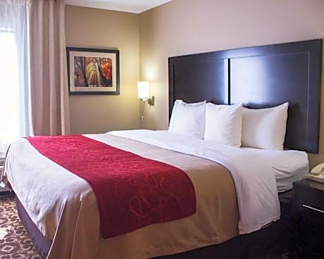 King Suite with Sofa Bed - Non-Smoking