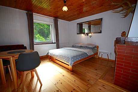 Studio with Garden View