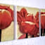 Avenues Guesthouse