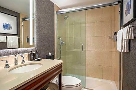 Preferred, Executive Suite, 1 King, Sofa bed, River view