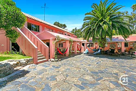 Dolphins Backpackers