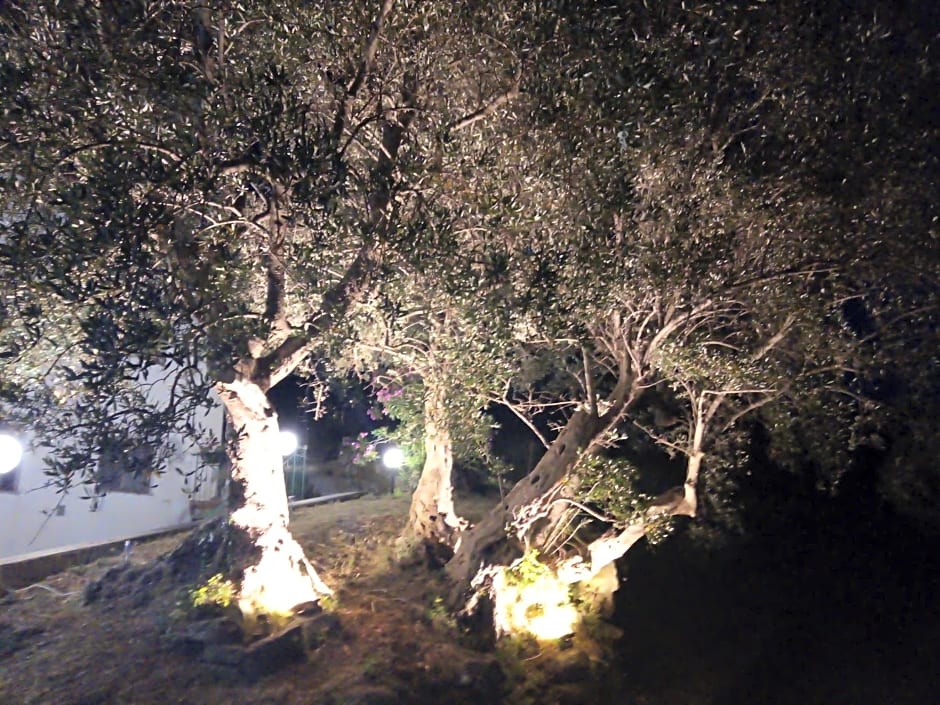 L'Antica Quercia B&B