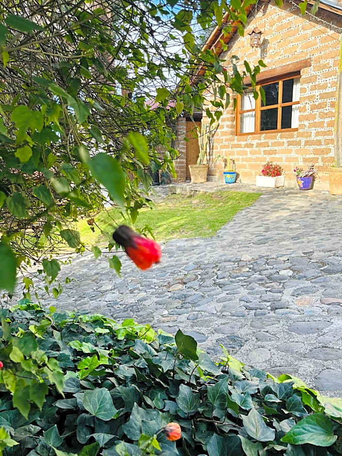Cabañas Los Cactus