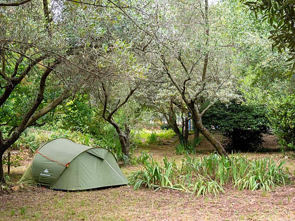 Auberge de Jeunesse HI Nîmes