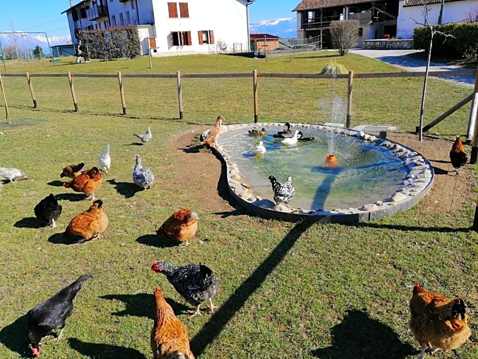 B&B La casa di Loretta