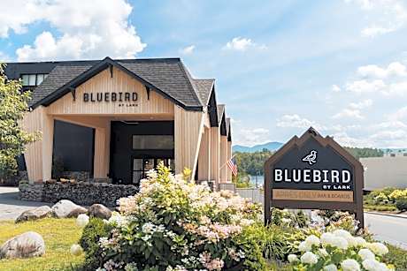 Bluebird Lake Placid