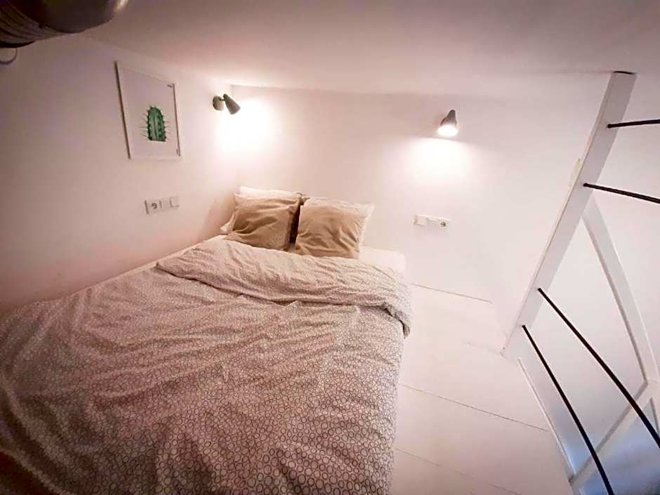 LION apartments