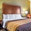 Comfort Inn Winchester