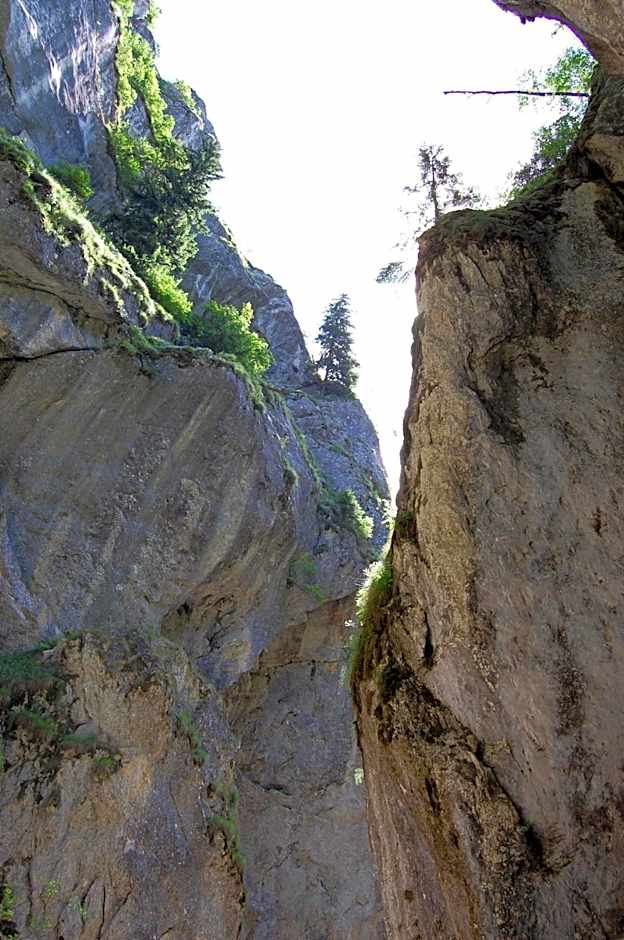 Complexul Turistic Cheile Butii