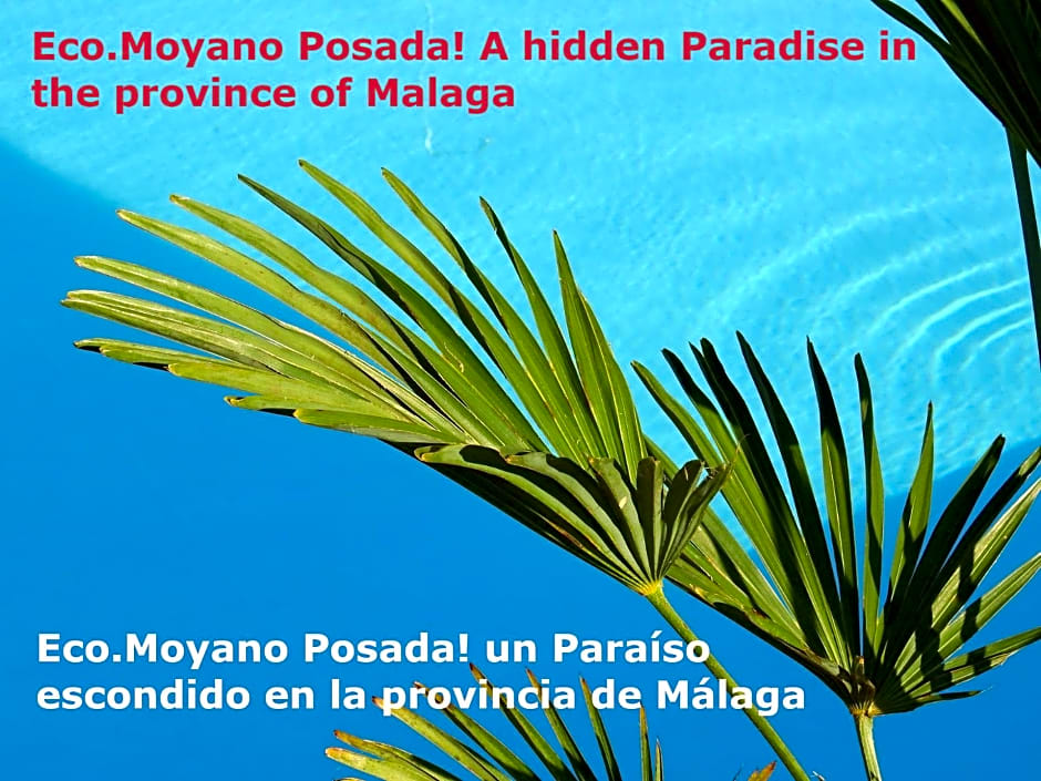 Eco Moyano Posada