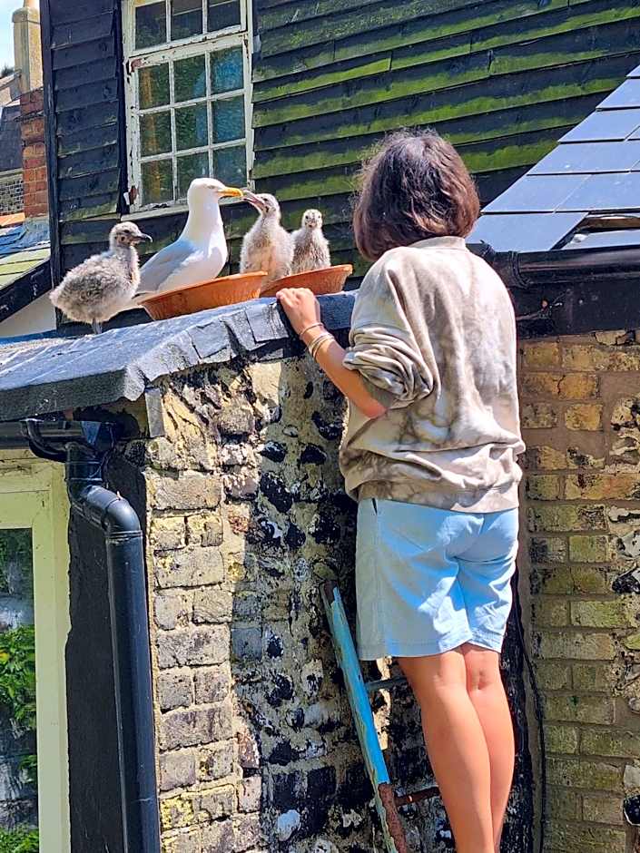 First and Last Youth Hostel