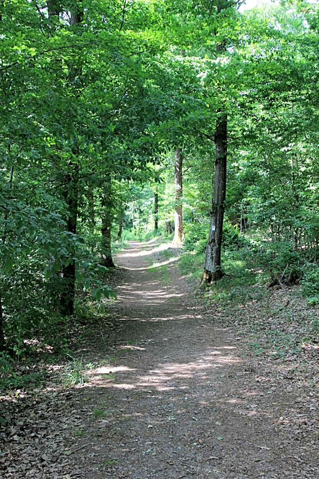 Hotel Fürstenhof Bad Bertrich