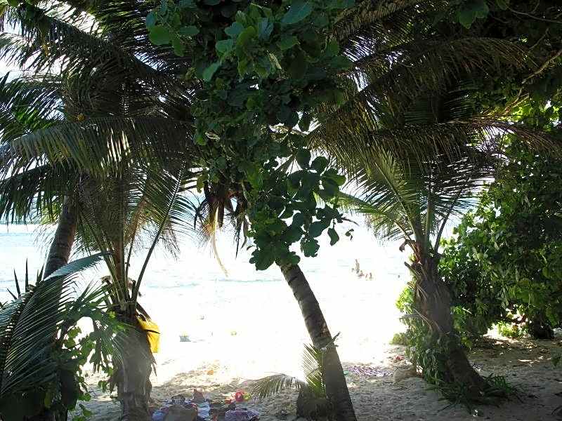 Surfers Beach Self Catering Chalets