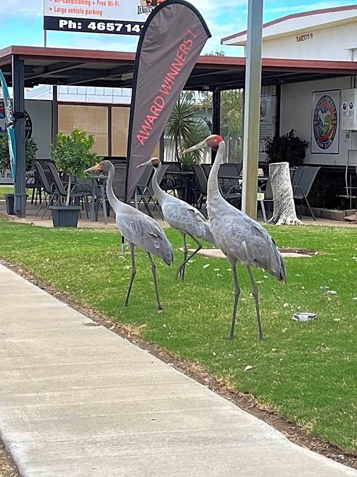 Winton Outback Motel