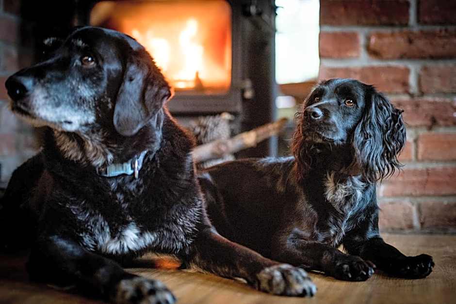 The Kings Arms Otterton