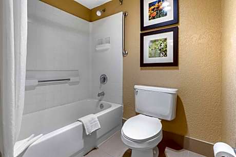 1 King Bed, Suite, Nonsmoking