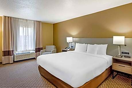 Efficiency King Suite - Accessible/Non-Smoking