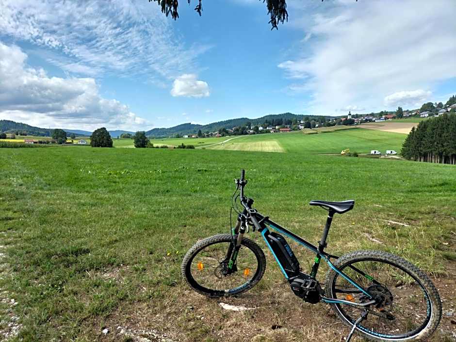 Hotel-Gasthof Zum Oberen Wirt