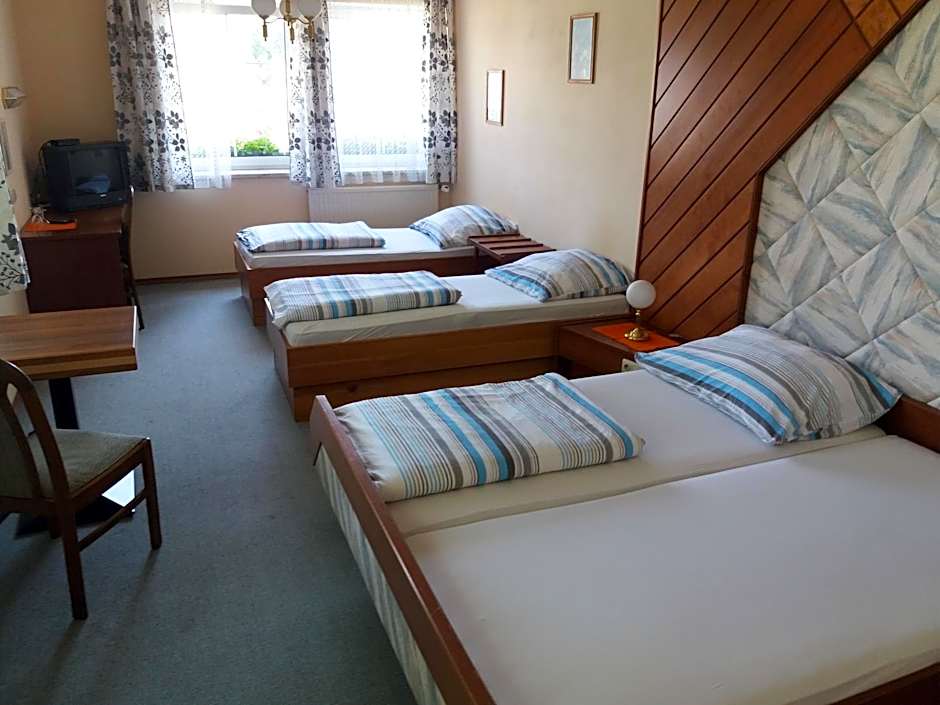 Austria Traveller Hotel Lenzing