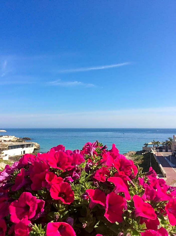 Bellariva Monopoli B&B e Relax