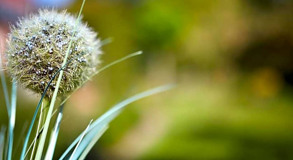 Hotel Waldblick Deppe