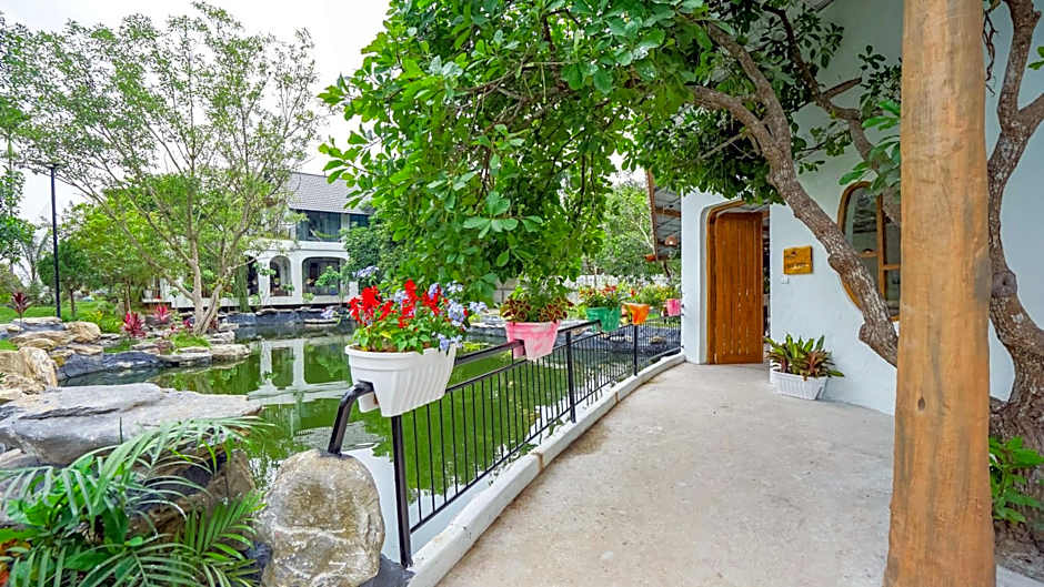 Photo 1 of 16 of Family, Garden View