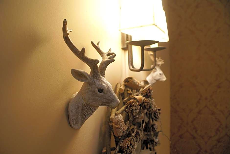 Gamila Rocks Mountain Hotel