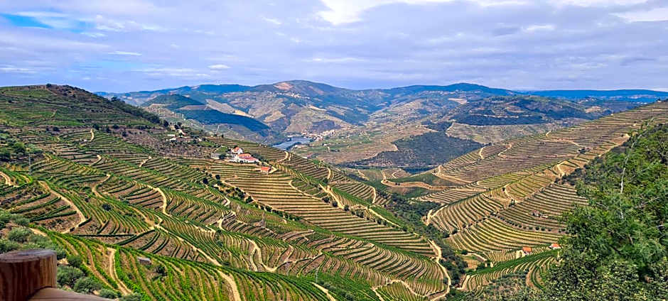 Stay at the Winemaker