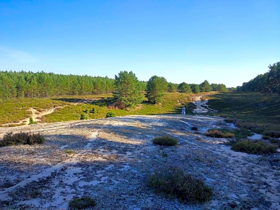 Hubertówka Czapiewice