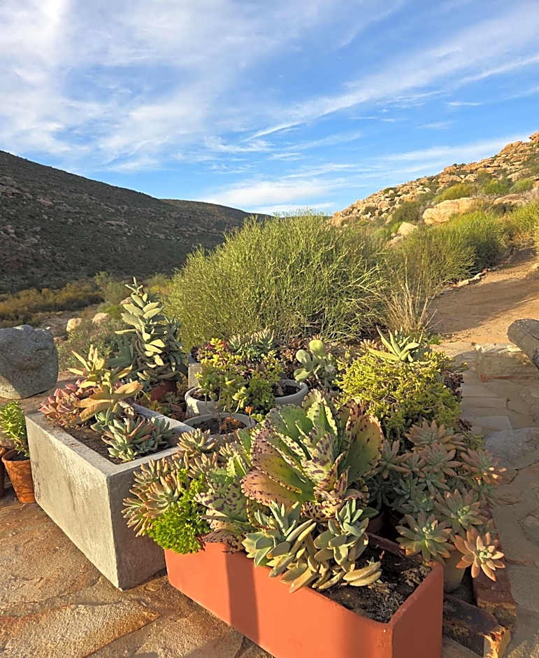 Oudrif Strawbale Retreat