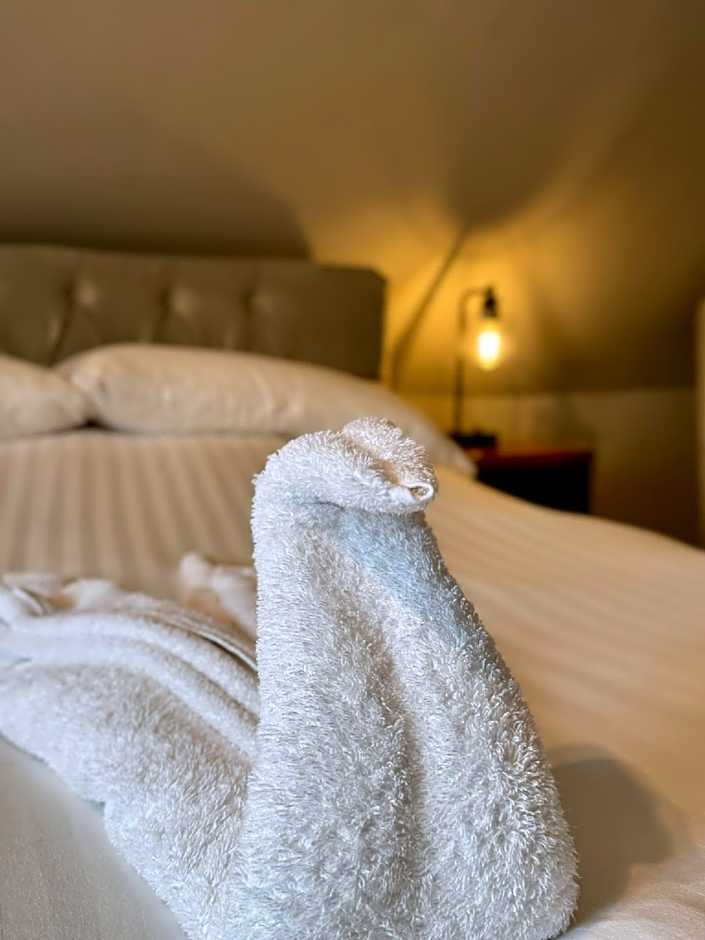 The Swan Hotel
