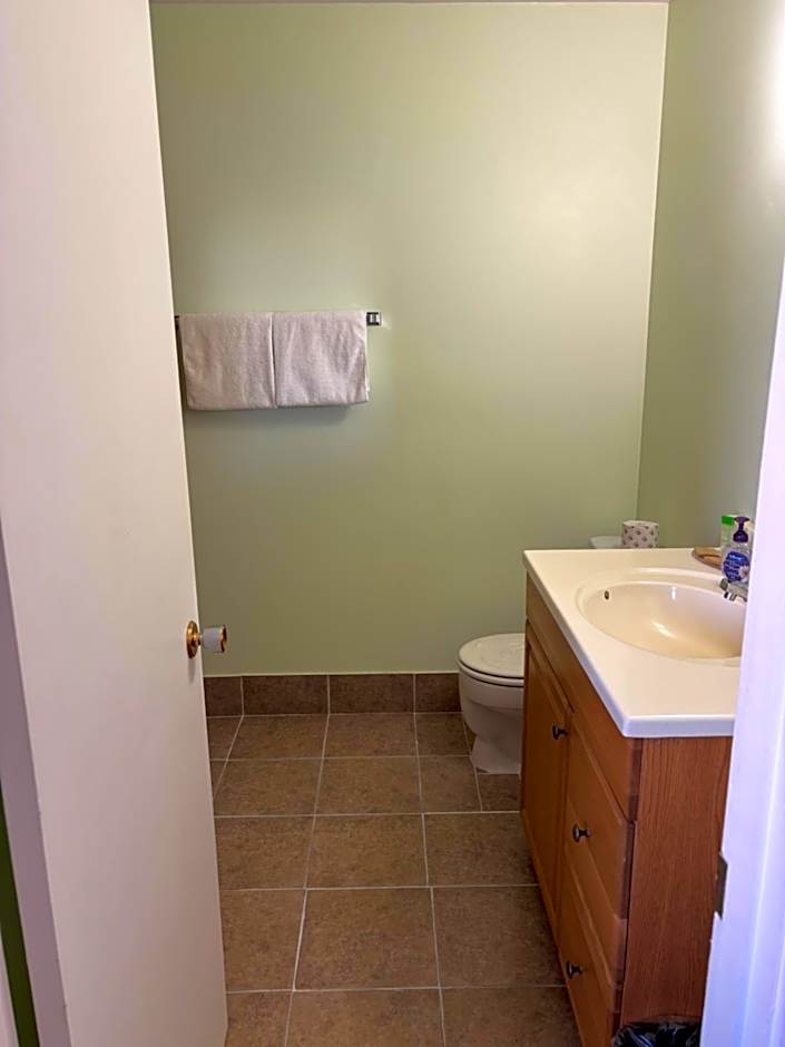 Viking Lamplighter Motel