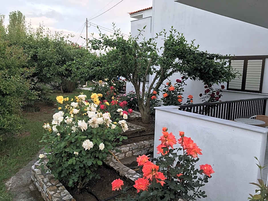 Adult Only - Hotel Suzanna