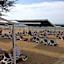 Alba Royal Hotel - Ultra All Inclusive -Adults Only (+16)