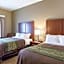 Comfort Inn & Suites Zachary