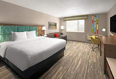 1 King Bed Nonsmoking