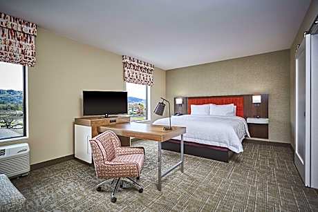 1 King Hearing Access Studio W/Sofabed Ns