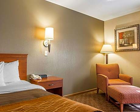 1 King Bed, Nonsmoking, Accessible